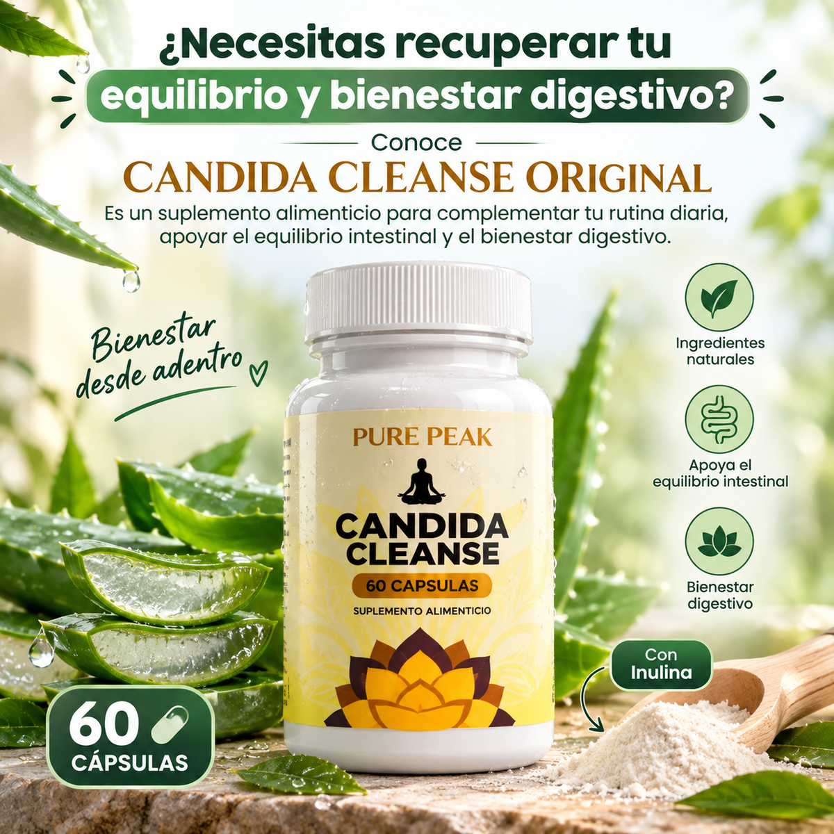 CANDIDA CLEANSE original